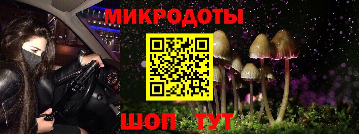 Галлюциногенные грибы ЛСД  Псилоцибиновые грибы Psilocybine cubensis  Вход с VPN  где купить наркотик  Урюпинск 