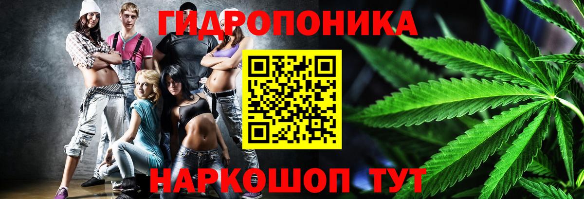 Марихуана план Урюпинск